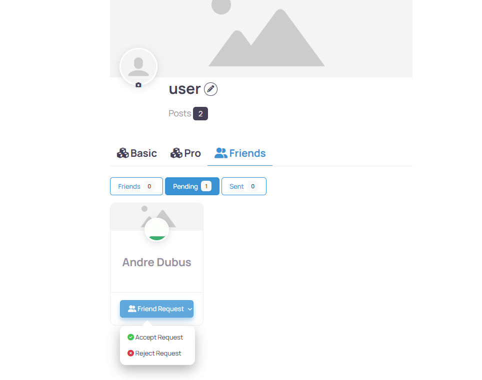 Friend Request Approval Screen