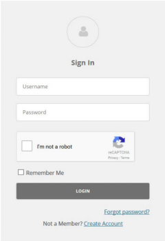 login form