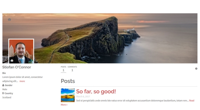 users profiles